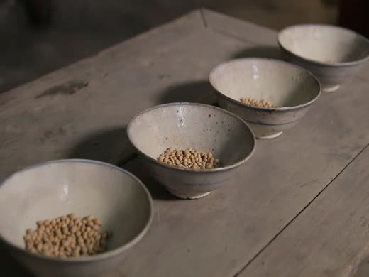 豆选