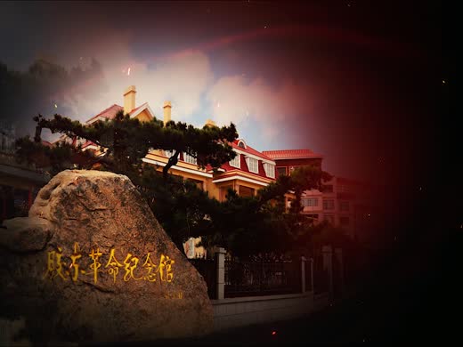 珍贵的党费