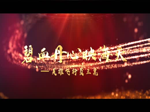 碧血丹心映海天——英雄飞行员王崑