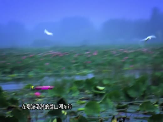 陈金合烈士